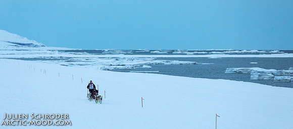 Nome-Iditarod2019-JSchroder_20190313_D4_8103