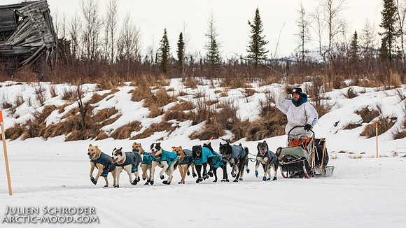 untitled-Iditarod2019-JSchroder_20190309_D4_6126