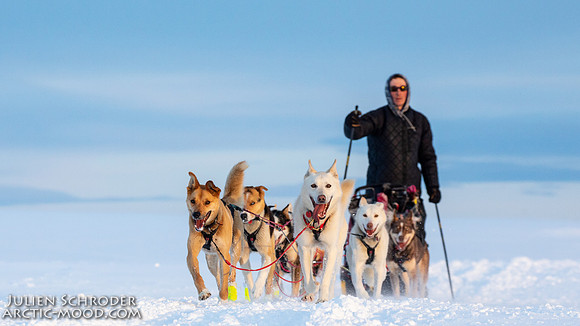 Nome-Iditarod2019-JSchroder_20190313_D4_7934