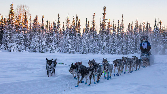 2_Two Rivers_YukonQuest2018_untitled_YukonQuest2018_13755_JSchroder-2