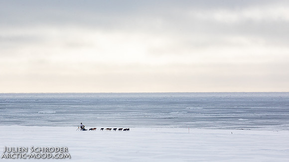 CapeNome-Iditarod2019-JSchroder_20190315_D4_8568
