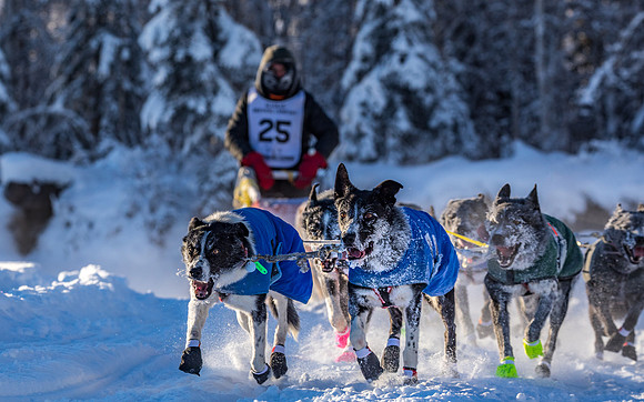 2_Two Rivers_YukonQuest2018_untitled_YukonQuest2018_13575_JSchroder-2