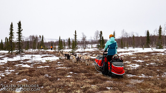 iditarod-Iditarod2019-JSchroder_20190309IMG_4602