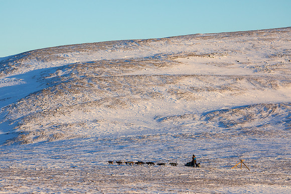3_Mile101_YukonQuest2018_Eagle_summit_YukonQuest2018_14535_JSchroder-2