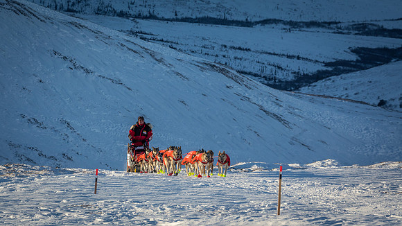 3_Mile101_YukonQuest2018_Eagle_summit_YukonQuest2018_14074_JSchroder-2