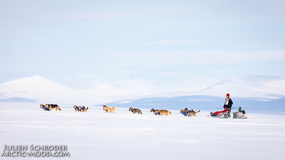Nome-Iditarod2019-JSchroder_20190313_D4_7295