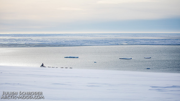 Nome-Iditarod2019-JSchroder_20190313_D4_7365