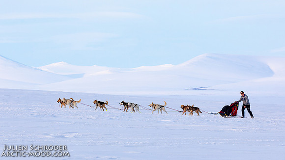 Nome-Iditarod2019-JSchroder_20190313_D4_7799