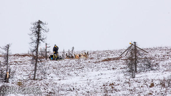 untitled-Iditarod2019-JSchroder_20190307_D4_5618