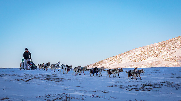 3_Mile101_YukonQuest2018_Eagle_summit_YukonQuest2018_13988_JSchroder-2