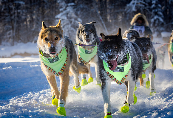 2_Two Rivers_YukonQuest2018_untitled_YukonQuest2018_13494_JSchroder-2
