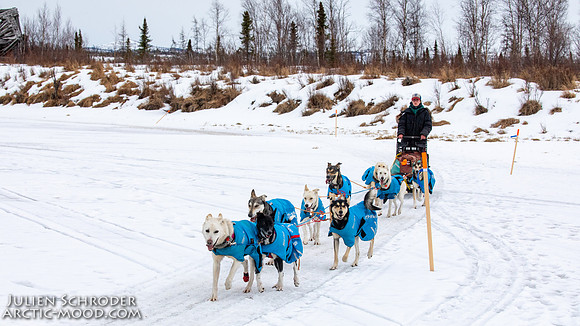 iditarod-Iditarod2019-JSchroder_20190309_D4_6227