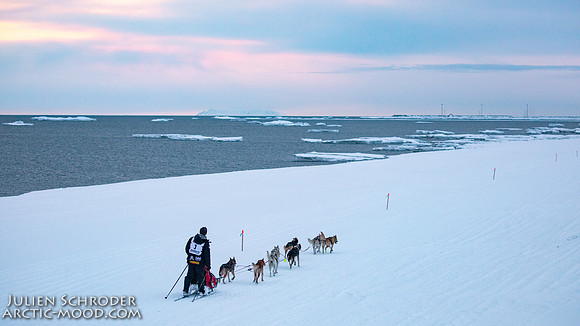 Nome-Iditarod2019-JSchroder_20190313_D4_8119