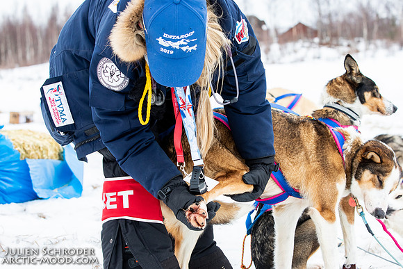 iditarod-Iditarod2019-JSchroder_20190309_D4_6541