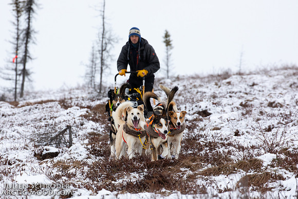 untitled-Iditarod2019-JSchroder_20190307_D4_5674