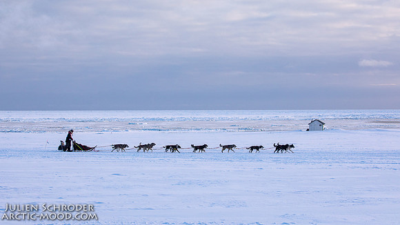 CapeNome-Iditarod2019-JSchroder_20190315_D4_8933