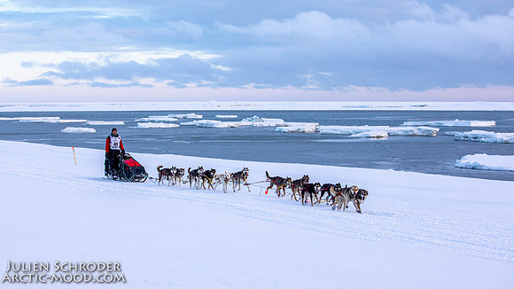 CapeNome-Iditarod2019-JSchroder_20190315_D4_9029
