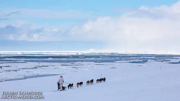 CapeNome-Iditarod2019-JSchroder_20190315_D4_8668