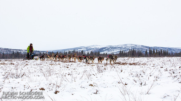 untitled-Iditarod2019-JSchroder_20190307_D4_5572