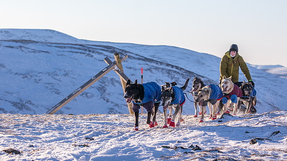 3_Mile101_YukonQuest2018_Eagle_summit_YukonQuest2018_14318_JSchroder-2