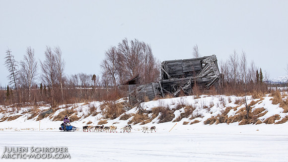 iditarod-Iditarod2019-JSchroder_20190309_D4_6251