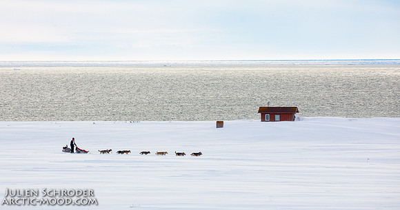 Nome-Iditarod2019-JSchroder_20190313_D4_7531