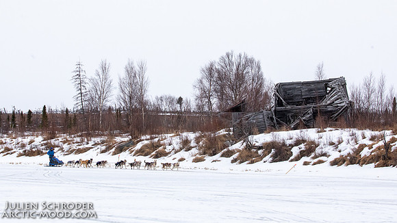 iditarod-Iditarod2019-JSchroder_20190309_D4_6472