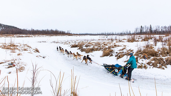 Iditarod-Iditarod2019-JSchroder_20190308_D4_5989