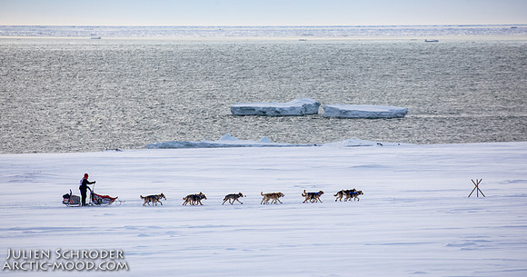 Nome-Iditarod2019-JSchroder_20190313_D4_7520