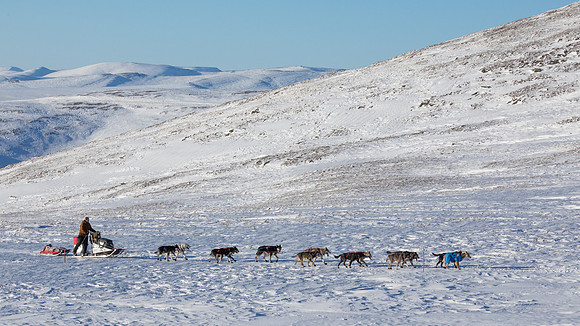 3_Mile101_YukonQuest2018_Eagle_summit_YukonQuest2018_14264_JSchroder-2