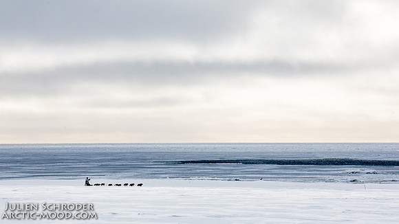 CapeNome-Iditarod2019-JSchroder_20190315_D4_8574