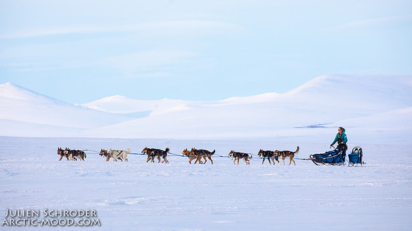 Nome-Iditarod2019-JSchroder_20190313_D4_7814