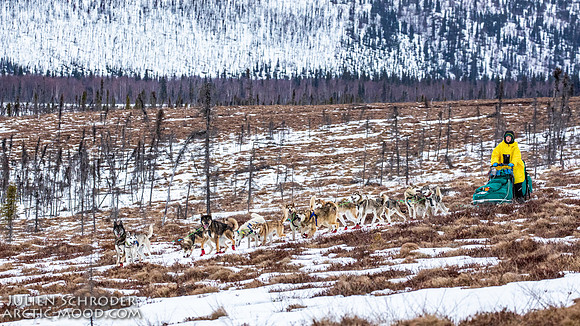 untitled-Iditarod2019-JSchroder_20190309_D4_6157