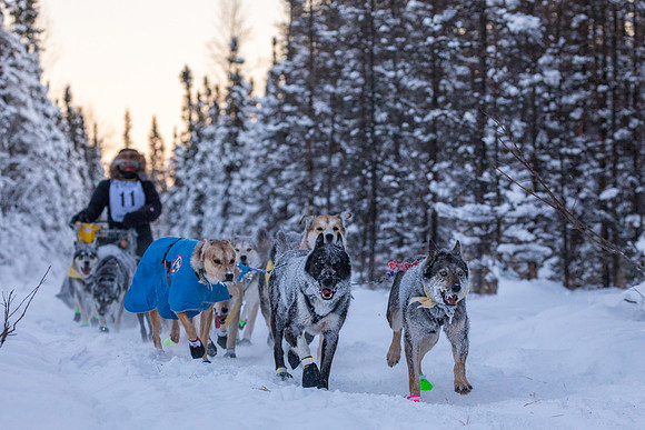 2_Two Rivers_YukonQuest2018_untitled_YukonQuest2018_13847_JSchroder-2