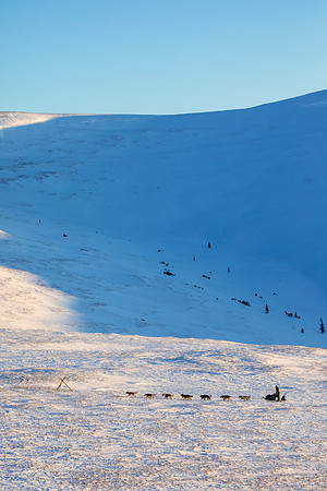 3_Mile101_YukonQuest2018_Eagle_summit_YukonQuest2018_14524_JSchroder-2
