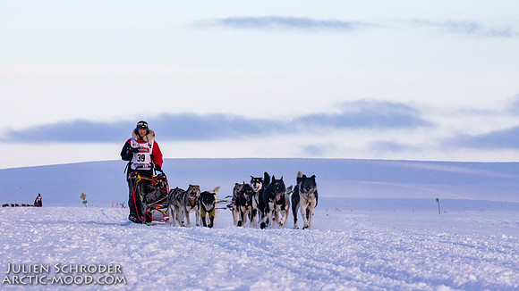 CapeNome-Iditarod2019-JSchroder_20190315_D4_8944