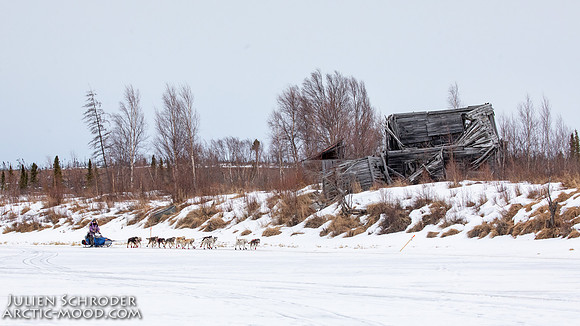 iditarod-Iditarod2019-JSchroder_20190309_D4_6248