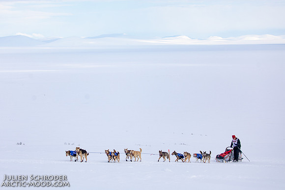 Nome-Iditarod2019-JSchroder_20190313_D4_7201