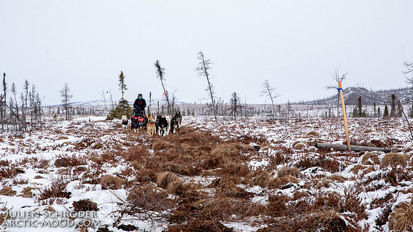 Iditarod-Iditarod2019-JSchroder_20190308_D4_5942