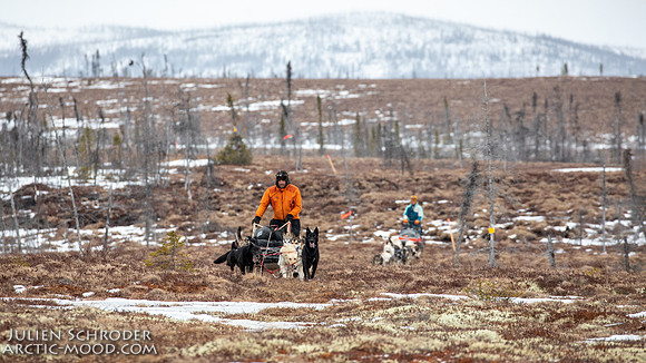 iditarod-Iditarod2019-JSchroder_20190309_D4_6439