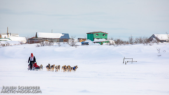 Nome-Iditarod2019-JSchroder_20190313_D4_7554
