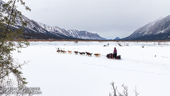Rohn-Iditarod2019-JSchroder_20190305IMG_4154