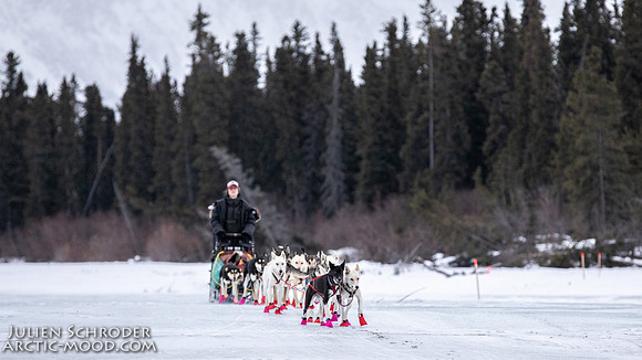 Rohn-Iditarod2019-JSchroder_20190305_D4_4527