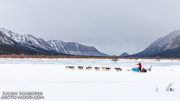 Rohn-Iditarod2019-JSchroder_20190305IMG_4180