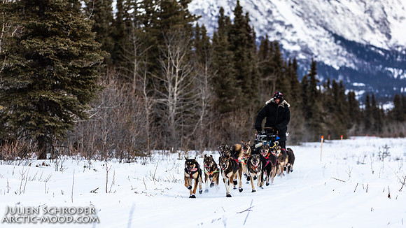 Rohn-Iditarod2019-JSchroder_20190304_D4_3974