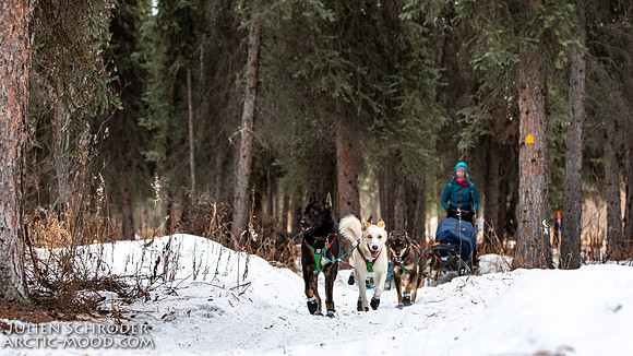 Rohn-Iditarod2019-JSchroder_20190305_D4_4837