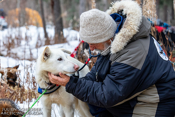 Rohn-Iditarod2019-JSchroder_20190305_D4_4676
