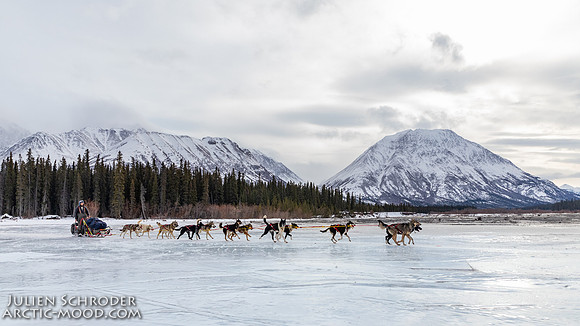 Rohn-Iditarod2019-JSchroder_20190305IMG_4205