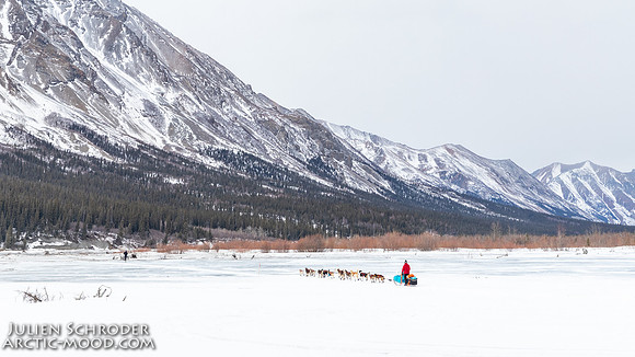 Rohn-Iditarod2019-JSchroder_20190305IMG_4188