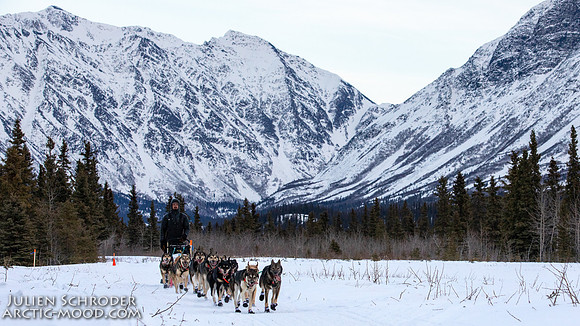 Rohn-Iditarod2019-JSchroder_20190304_D4_4029